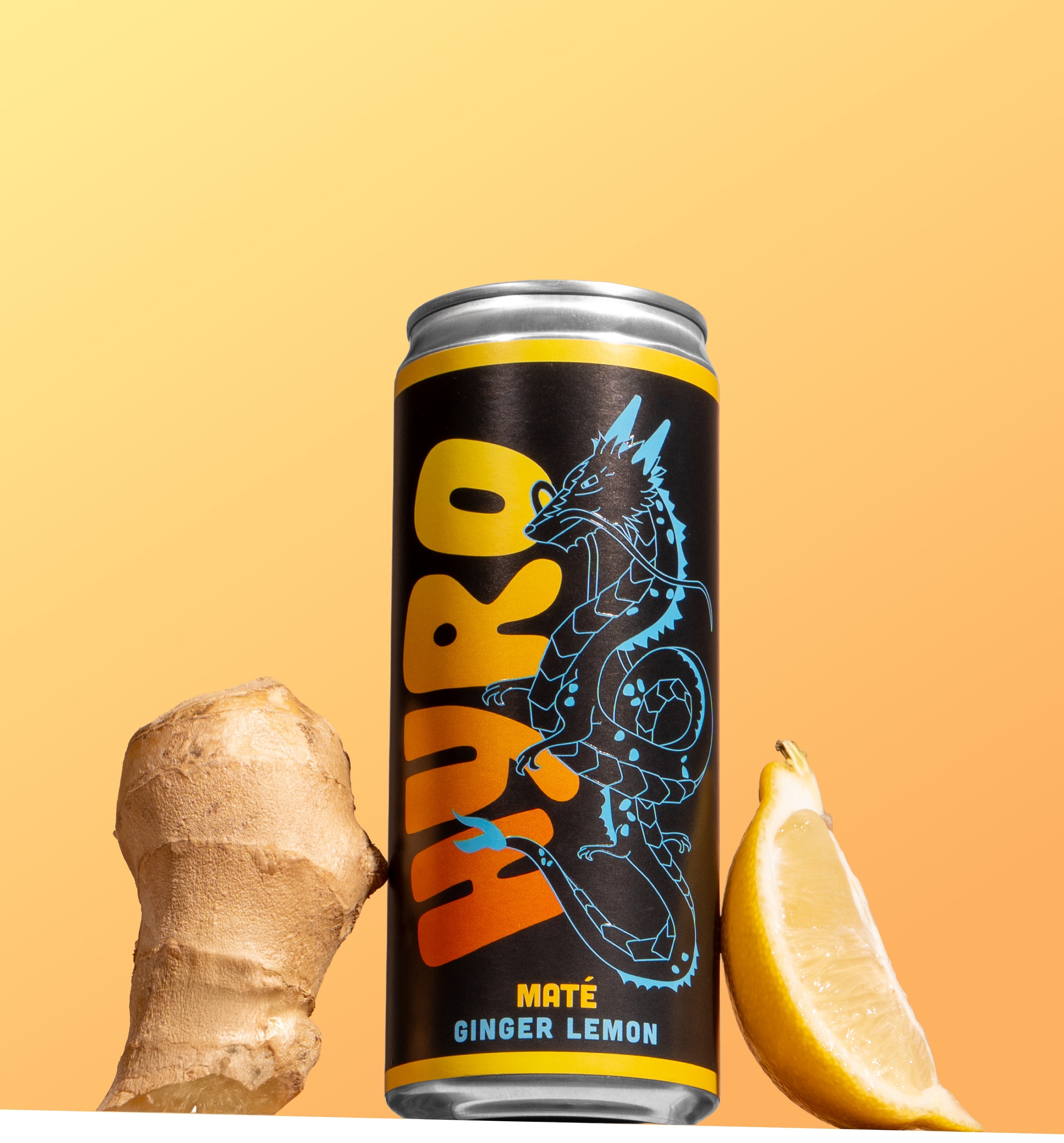 Hyro maté Ginger Lemon x 24